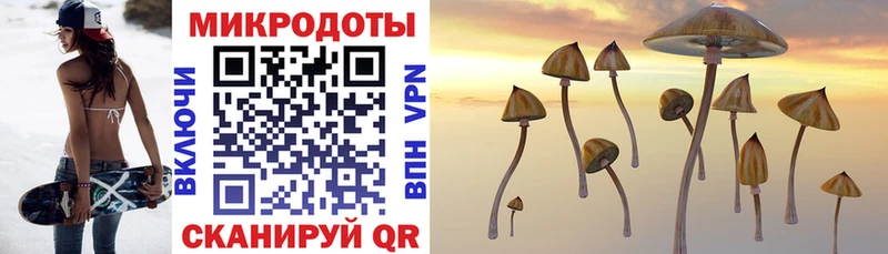 Галлюциногенные грибы MAGIC MUSHROOMS  Николаевск-на-Амуре 