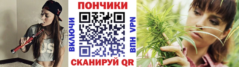 закладки  Николаевск-на-Амуре  МАРИХУАНА сатива 